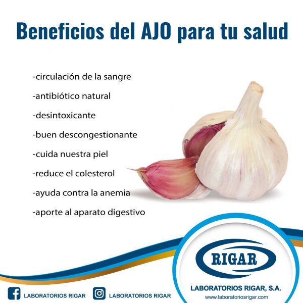 Beneficios Del Ajo Laboratorios Rigar